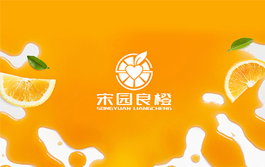 某良橙——达州LOGO设计